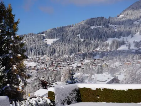 Hyacinthe 14, Appartement 6 personnes à Villars - Photo 32