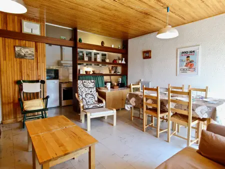 Grand appartement 2 pièces, balcon sud, animaux admis - Photo 1