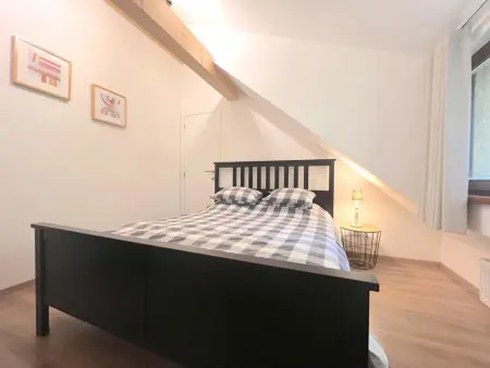 De Lelie, Belle maison individuelle au milieu des bois - Photo 23