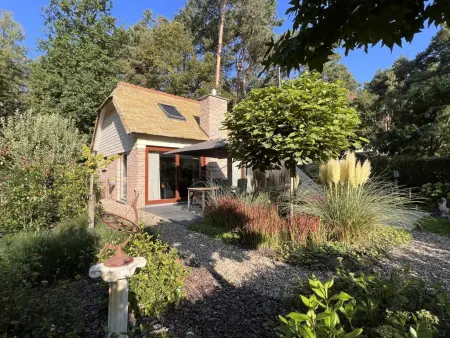 De Lelie, Belle maison individuelle au milieu des bois - Photo 27