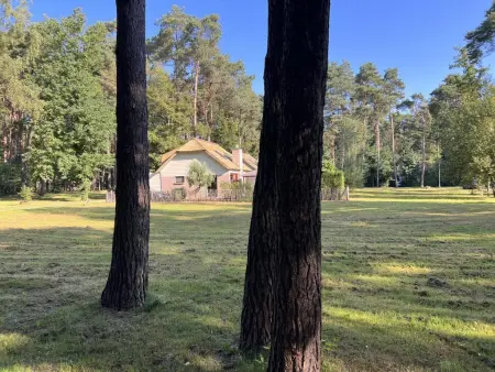 De Lelie, Belle maison individuelle au milieu des bois - Photo 29