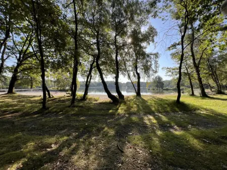 De Lelie, Belle maison individuelle au milieu des bois - Photo 30