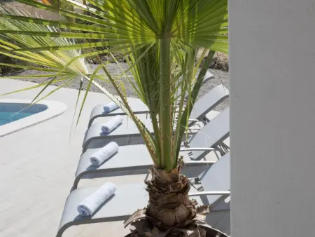 Luna, Villa spacieuse avec piscine et vue panoramique - Photo 12