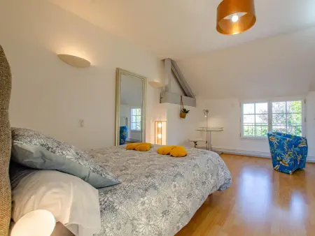 Maison avec piscine, animaux OK - 12 pers., Gite 12 personnes à Saint Hilaire sous Romilly - Photo 19