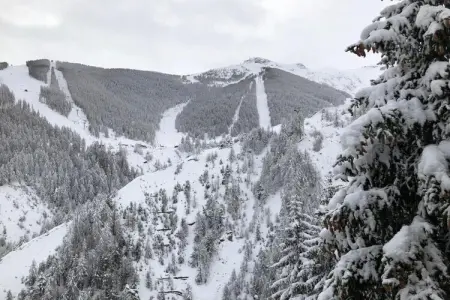 Le Mont d'Auron 1, Appartement à Auron avec Piscine & Skibus - Photo 36