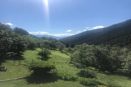 Le Mont d'Auron 2, Appartement à Auron avec piscine et spa - Photo 22