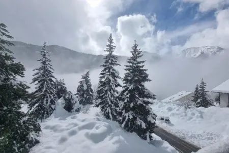 Le Mont d'Auron 2, Appartement à Auron avec piscine et spa - Photo 39