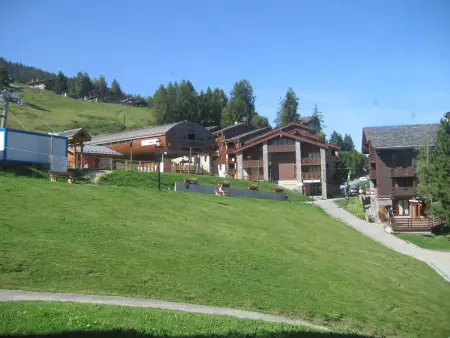 Studio 4 pers, animaux admis, terrasse, Appartement 4 personnes à La Plagne - Photo 9