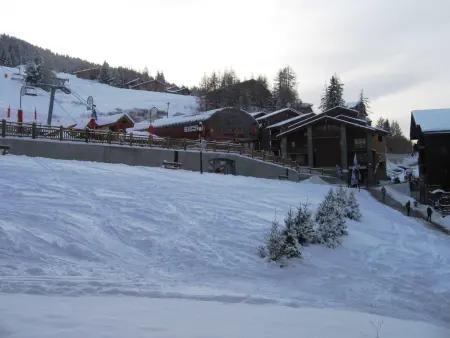 Studio 4 pers, animaux admis, terrasse, Appartement 4 personnes à La Plagne - Photo 10
