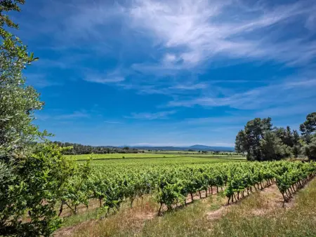Ella Ella, Villa avec piscine et vue sur les vignobles - Photo 34