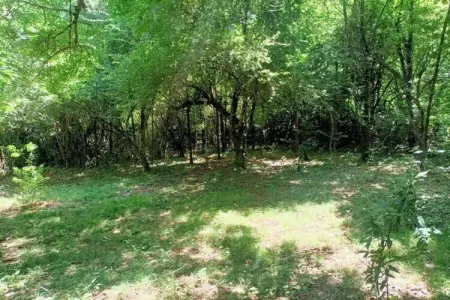 APPARTEMENT LES BROUSSES/LINDE, Retraite avec vue sur les Cévennes à Molières - Photo 34