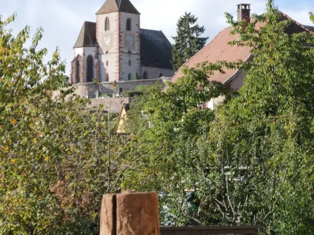 Charmant appartement rénové pour 4 pers avec terrasse à Hunawihr - Photo 28