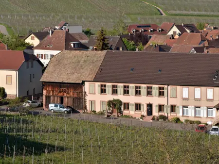 Charmant appartement rénové pour 4 pers avec terrasse à Hunawihr - Photo 30