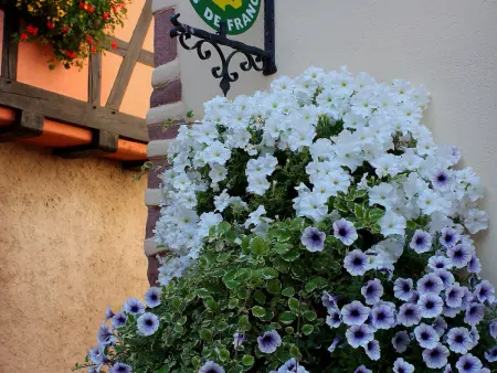 Maison Alsacienne Historique avec Parking à Ammerschwihr - Photo 7