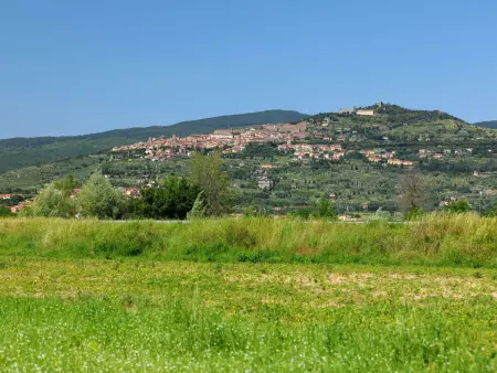 Rina, Gite 6 personnes à Cortona - Photo 7