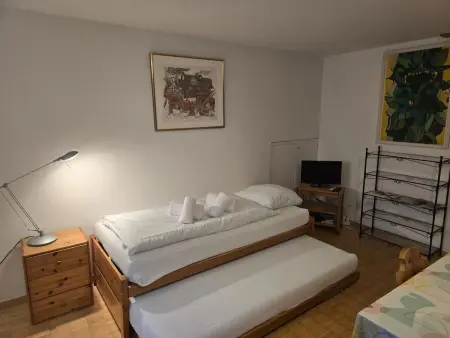 Casa Fadail Seura 11, Appartement 4 personnes à Lenzerheide - Photo 10