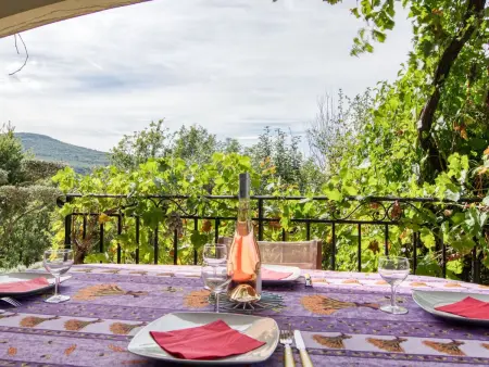Mas des Grives, Villa 4 personnes à Bauduen - Photo 16