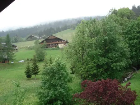 Appartement Châtel - 5 Pers, Proche Pistes, Animaux Acceptés - Photo 12
