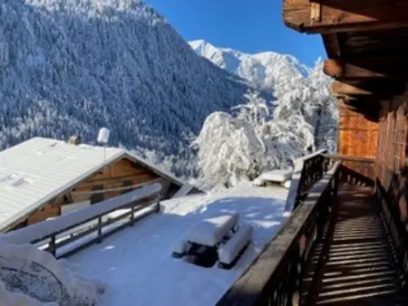 Chalet Alpin 8 Pers., 3 Ch., Jardin Privé, Appartement 8 personnes à Châtel - Photo 20
