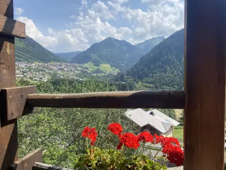 Chalet 4 pièces, 8 pers., Wifi, Parking, Châtel - Photo 21