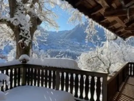 Chalet 4 pièces, 8 pers., Wifi, Parking, Châtel - Photo 24