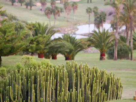Tipo Nº6, Villa 4 personnes à Maspalomas - Photo 24