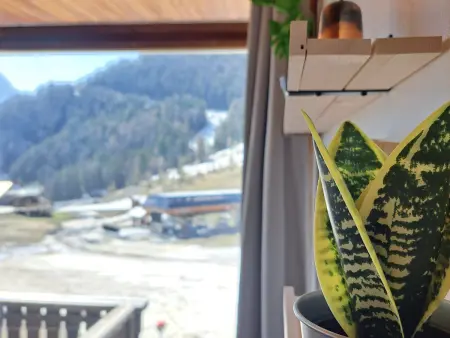 Appartement lumineux sur pistes à Pra Loup, Appartement 5 personnes à Pra Loup - Photo 9