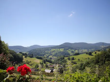 Maison familiale à Orbey, 3 chambres, parking privé, espace vert, jeux pour enfants - Photo 11