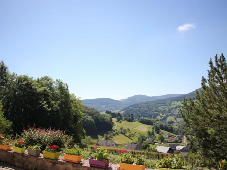 Maison familiale à Orbey, 3 chambres, parking privé, espace vert, jeux pour enfants - Photo 16