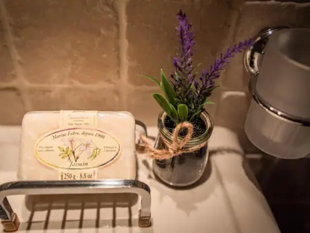 Le Mas dormant, Magnifique Mas avec piscine, clim et grand jardin - Photo 26