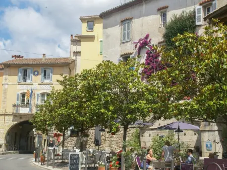 Le Mas dormant, Magnifique Mas avec piscine, clim et grand jardin - Photo 41