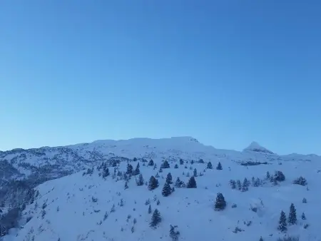 Studio ski, 4 pers, parking gratuit, proche pistes - Photo 9