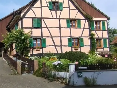 Gîte alsacien rénové avec jardin près de la Suisse et de l'Allemagne, idéal pour familles et amis - Photo 25