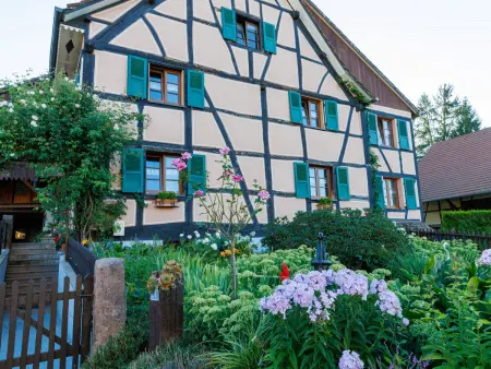 Gîte alsacien rénové avec jardin près de la Suisse et de l'Allemagne, idéal pour familles et amis - Photo 26
