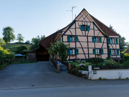 Gîte alsacien rénové avec jardin près de la Suisse et de l'Allemagne, idéal pour familles et amis - Photo 27
