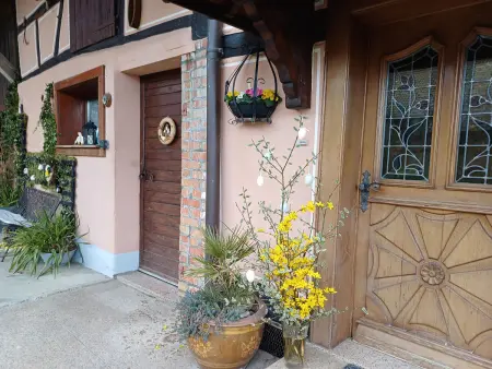 Gîte alsacien rénové avec jardin près de la Suisse et de l'Allemagne, idéal pour familles et amis - Photo 33