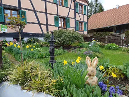 Gîte alsacien rénové avec jardin près de la Suisse et de l'Allemagne, idéal pour familles et amis - Photo 34