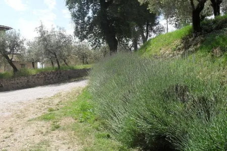 Gualdo Cattaneo Piccolo, Ferme avec piscine – Animaux bienvenus ! - Photo 38