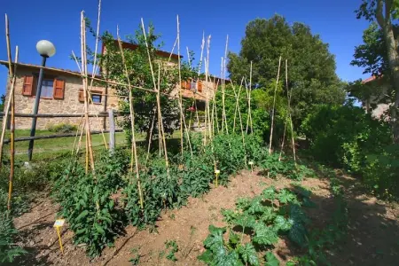 Club House, Ferme à Paciano près du parc Monte Pausillo - Photo 29