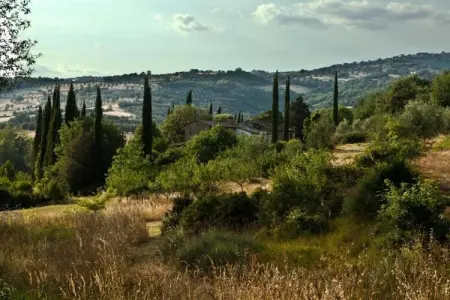 Nespolo Uno, Manoir à Magione près de Zocco Plage - Photo 36