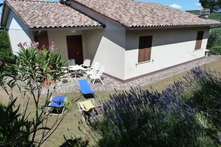 Casa Miralago, Maison de vacances au-dessus du lac Trasimène - Photo 7