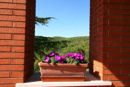 Casa Miralago, Maison de vacances au-dessus du lac Trasimène - Photo 24
