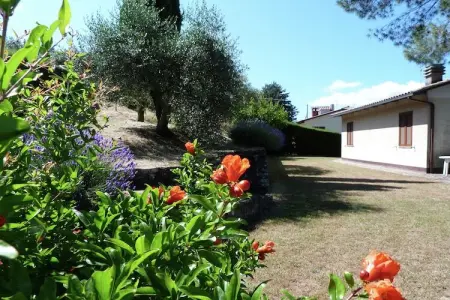 Casa Miralago, Maison de vacances au-dessus du lac Trasimène - Photo 33