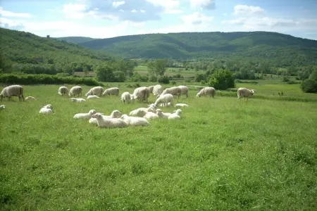 Giulio Cesare, Ferme Passignano près du lac Trasimène - Photo 35