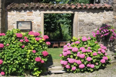 Gentile, Maison d'Hôtes à Monferrato et Dégustation - Photo 9