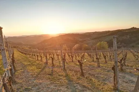 Gentile, Maison d'Hôtes à Monferrato et Dégustation - Photo 30