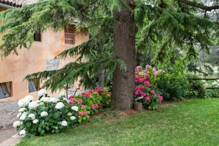 Artemisia, Manoir à Ovada avec piscine et collines - Photo 24