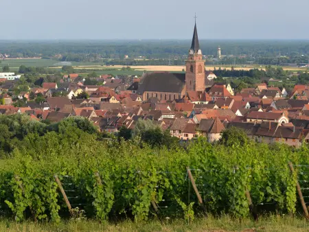 Gîte charmant au calme, 2 personnes, proche vignobles et châteaux, animaux acceptés, terrasse jardin - Photo 5