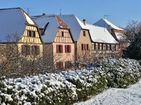 Gîte charmant au calme, 2 personnes, proche vignobles et châteaux, animaux acceptés, terrasse jardin - Photo 27