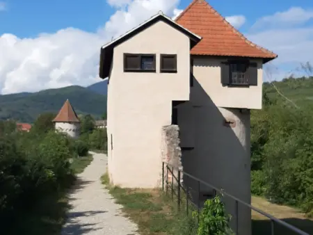 Gîte charmant au calme, 2 personnes, proche vignobles et châteaux, animaux acceptés, terrasse jardin - Photo 35